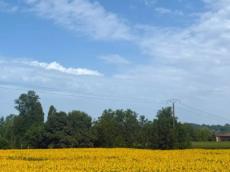 Terrain à bâtir, 1 202 m² - Portets (33640)