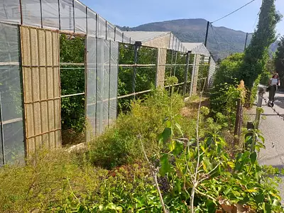 Terrain à bâtir, 441 m²