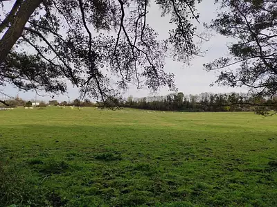 Terrain à bâtir, 540 m²