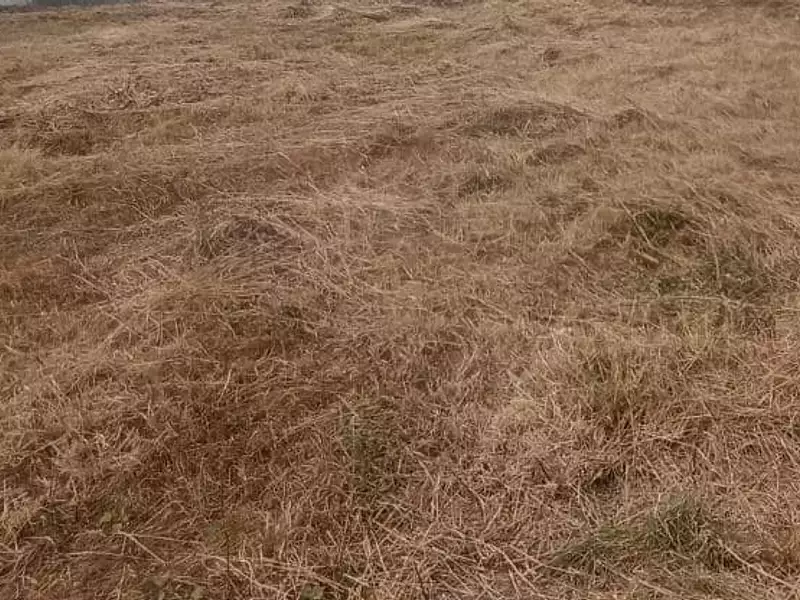 Terrain à bâtir, 658 m² - Villeneuve-en-Retz (44580)