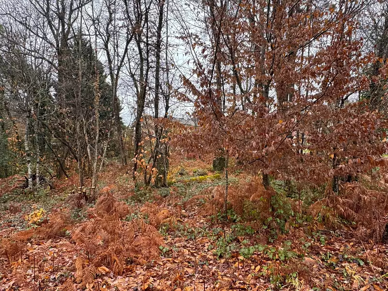 Terrain à bâtir, 1 000 m² - Chancelade (24650)