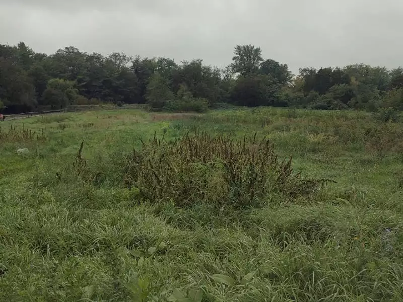 Maison neuve, 89 m² - Kunheim (68320)