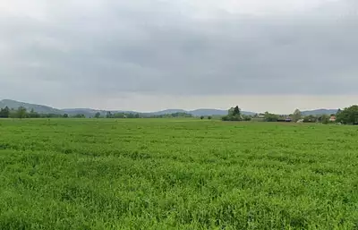 Maison neuve, 110 m²