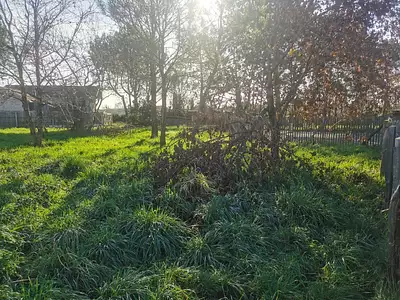 Maison neuve, 100 m²