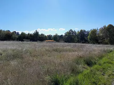 Terrain à bâtir, 1 100 m²