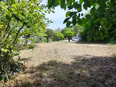 Maison neuve, 100 m²