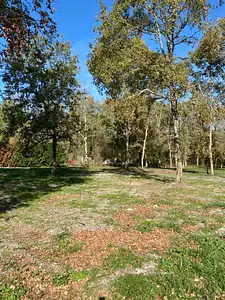 Maison neuve, 80 m²