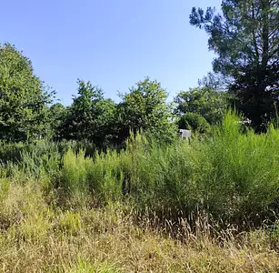 Terrain à bâtir, 515 m²