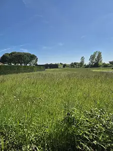 Terrain à bâtir, 3 566 m²