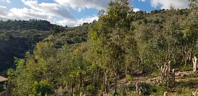 Maison neuve, 110 m²