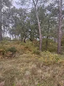 Terrain à bâtir, 352 m²