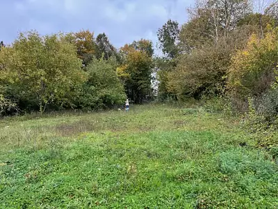 Terrain à bâtir, 1 432 m²