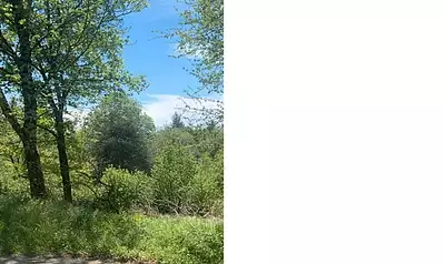 Terrain à bâtir, 2 050 m²