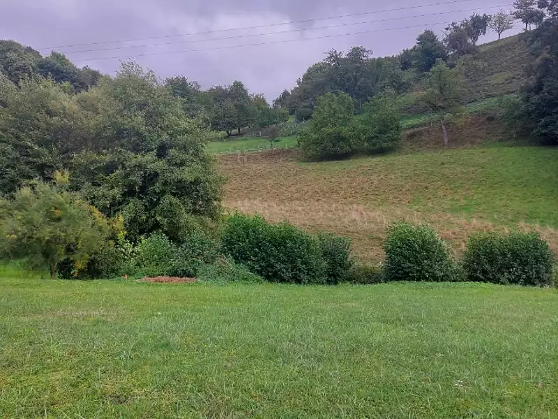 Terrain à bâtir, 776 m² - Villé (67220)