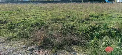 Terrain à bâtir, 1 050 m²