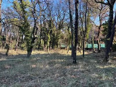 Terrain à bâtir, 675 m²