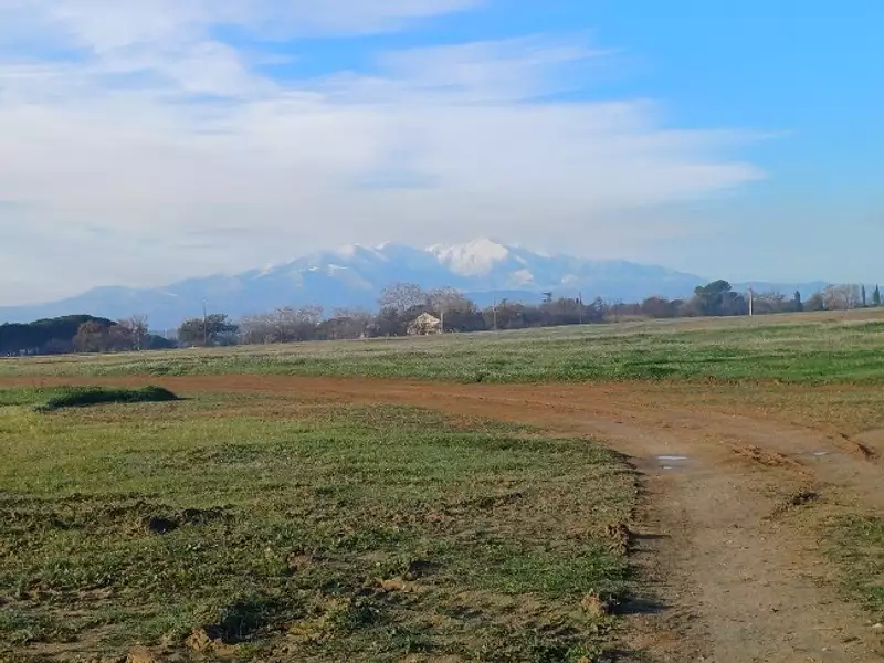 Maison neuve, 107 m² - Villeneuve-de-la-Raho (66180)