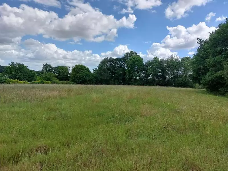 LE BOIS MENGUY - Saint-Maugan (35750)