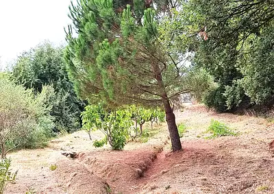 Maison neuve, 158 m²