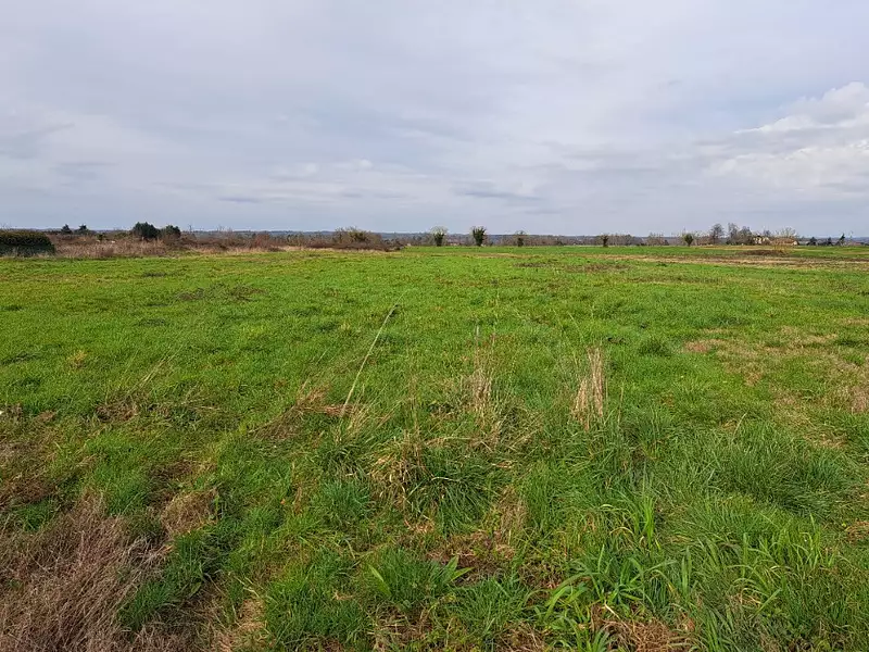 Terrain à bâtir, 1 800 m² - Lamonzie-Saint-Martin (24680)