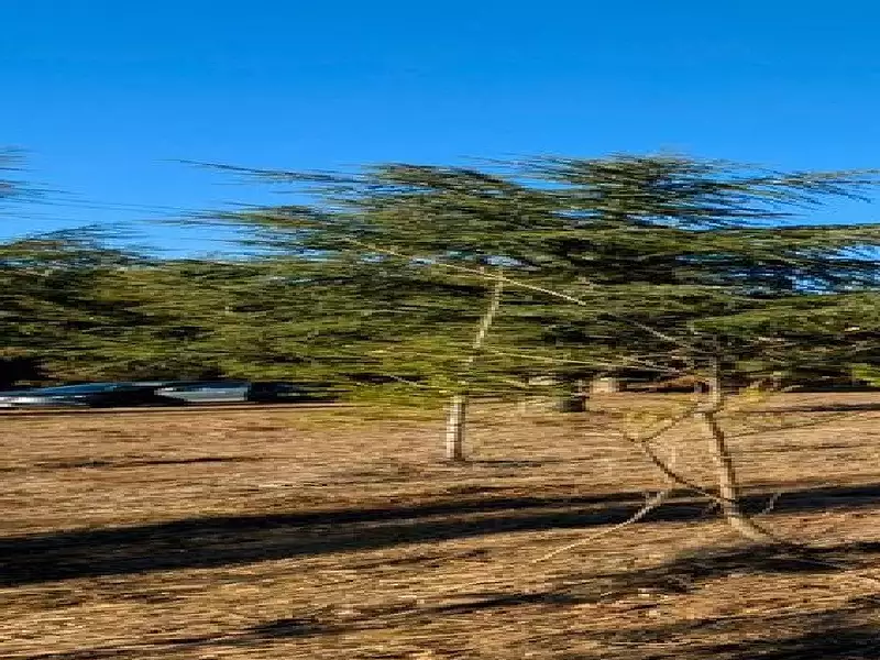 Terrain à bâtir, 8 000 m² - Villanière (11600)