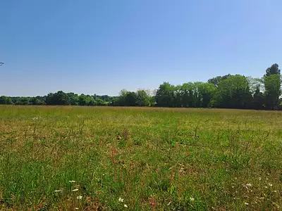 Terrain à bâtir, 2 561 m²