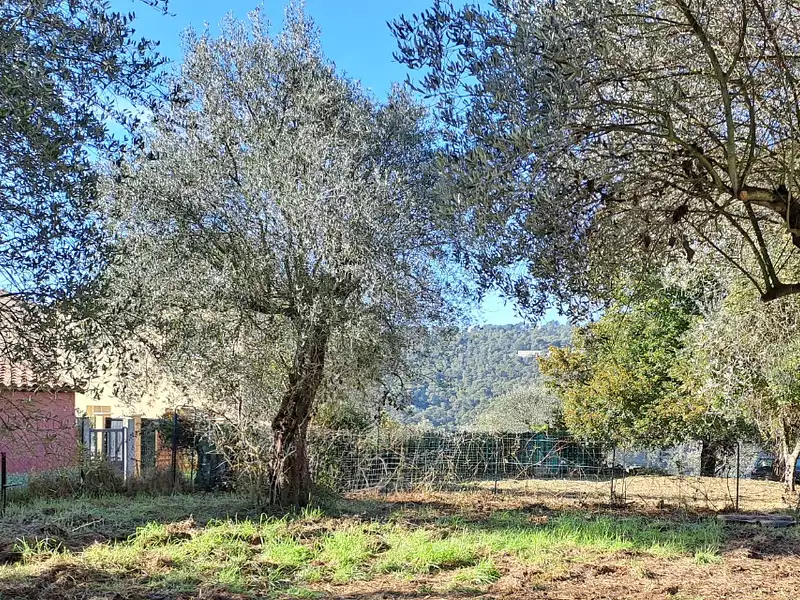 Terrain à bâtir, 600 m² - La Trinité (06340)