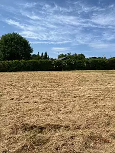 Terrain à bâtir, 536 m²