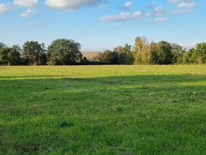 Maison neuve, 81 m² - Lasserre-Pradère (31530)