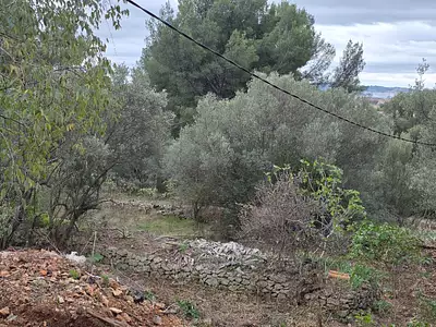 Maison neuve, 90 m²