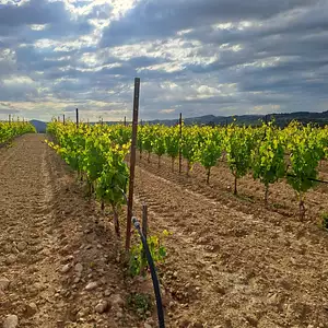 Terrain à bâtir, 219 m²