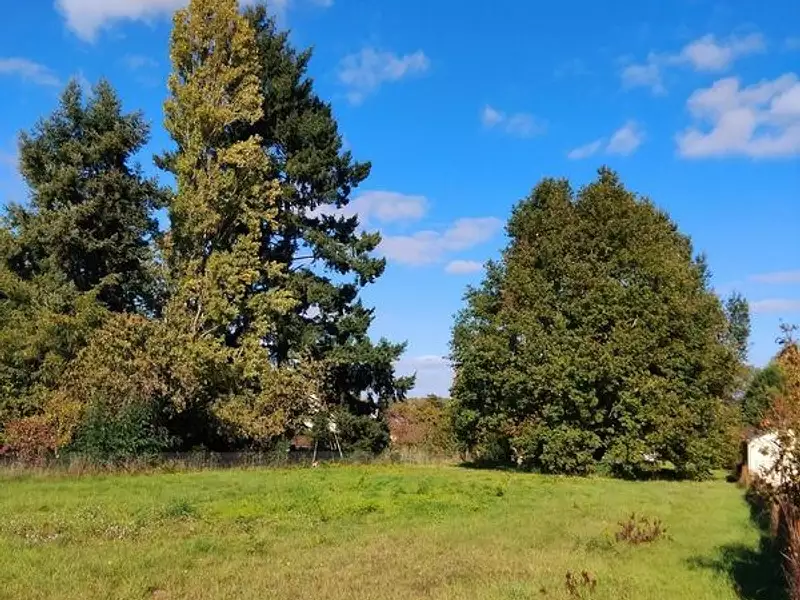 Terrain à bâtir, 1 541 m² - Saint-Laurent-Nouan (41220)