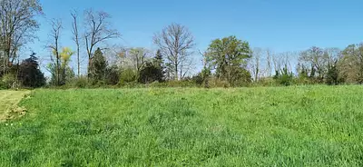 Terrain à bâtir, 1 992 m²