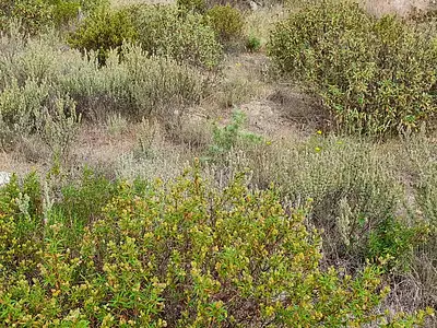 Maison neuve, 160 m²