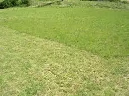 Terrain à bâtir, 420 m²