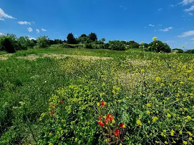 Terrain à bâtir, 600 m²