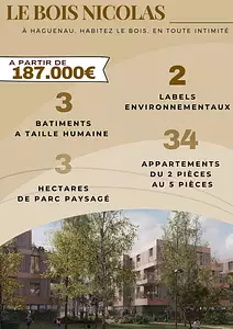 LE BOIS NICOLAS