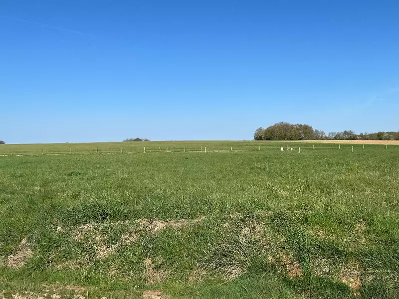 Maison neuve, 109 m² - Domats (89150)