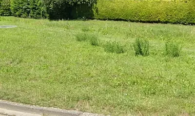 Terrain à bâtir, 500 m²