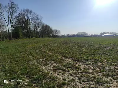 Terrain à bâtir, 2 360 m²