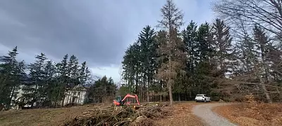 Terrain à bâtir, 393 m²