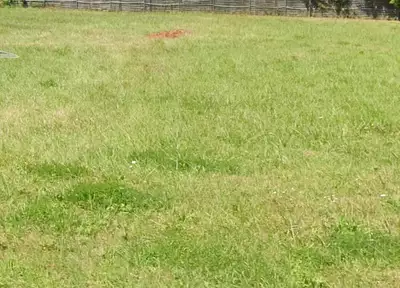 Maison neuve, 64 m²