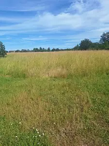 Maison neuve, 114 m²