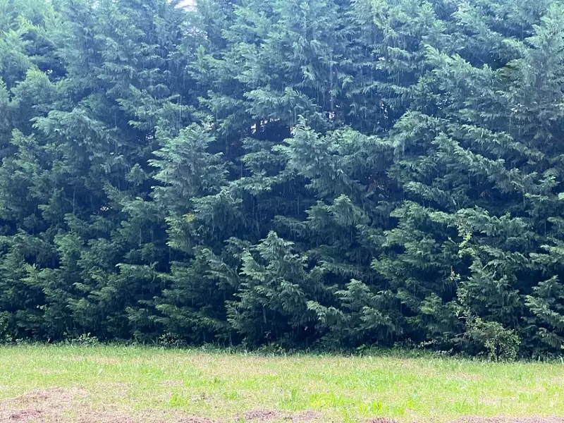 Terrain à bâtir, 1 000 m² - Saint-Rémy-de-Provence (13210)