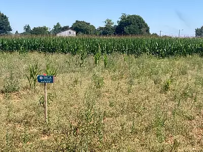 Maison neuve, 70 m²