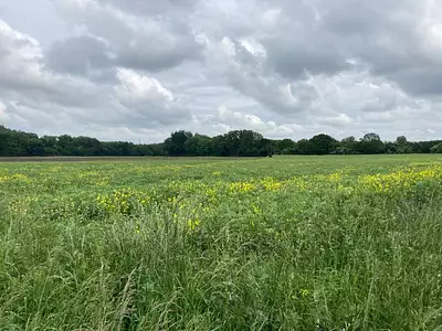 Maison neuve, 92 m²