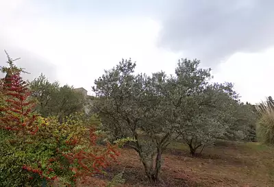 Terrain à bâtir, 371 m²