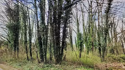 Maison neuve, 95 m²