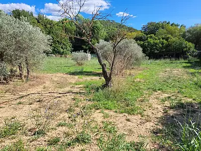 Maison neuve, 140 m²