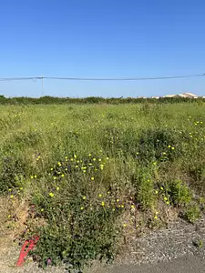 Maison neuve, 70 m²